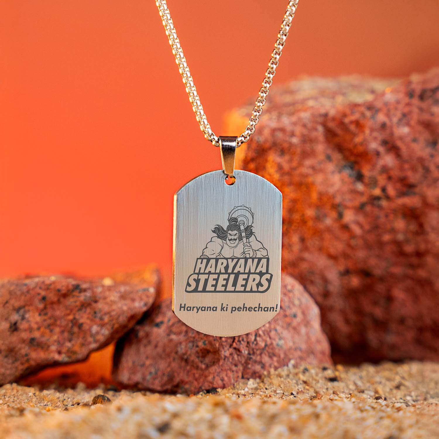 Haryana ki Pahichan Silver