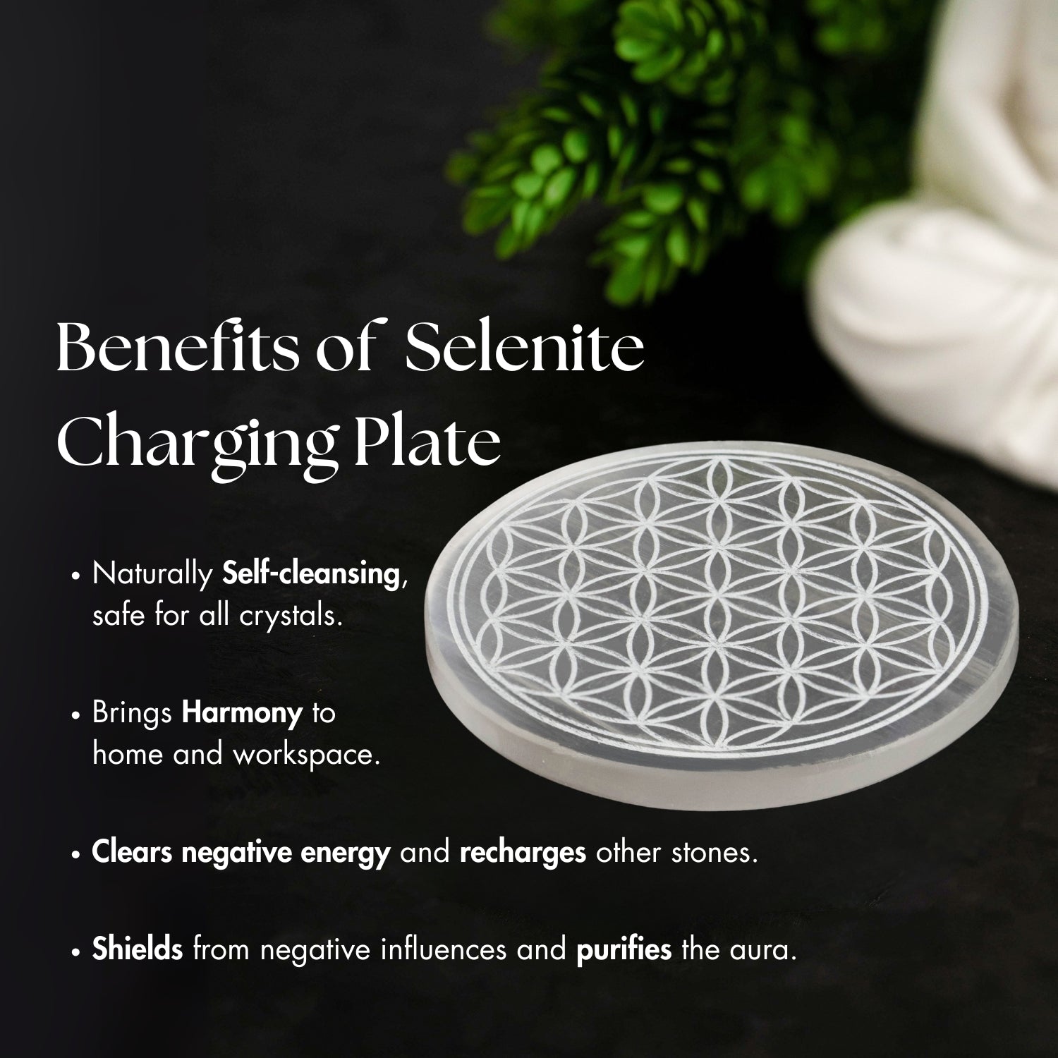 Floral Selenite Charging Plate With Bracelet