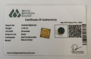 Amber lab certificate 13
