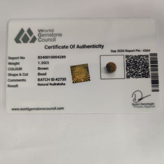 Rudraksh lab certificate 14