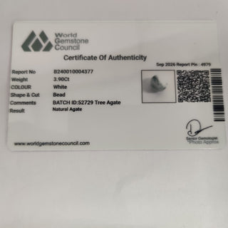 Tree Agate lab certificate 13