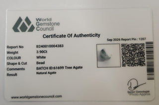 Tree Agate lab certificate 12